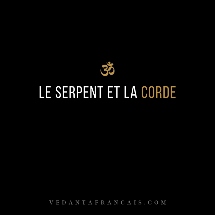 Titre « Le serpent et la corde » en blanc et doré sur fond noir.